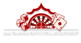 DLR Training Institute Logo